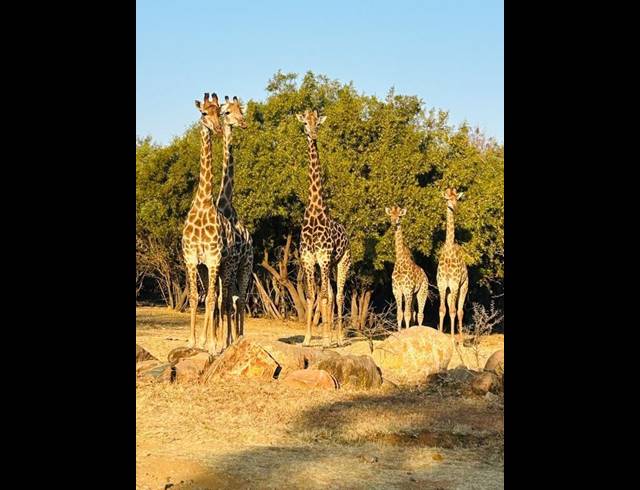 LAND FOR SALE IN SABLE HILLS